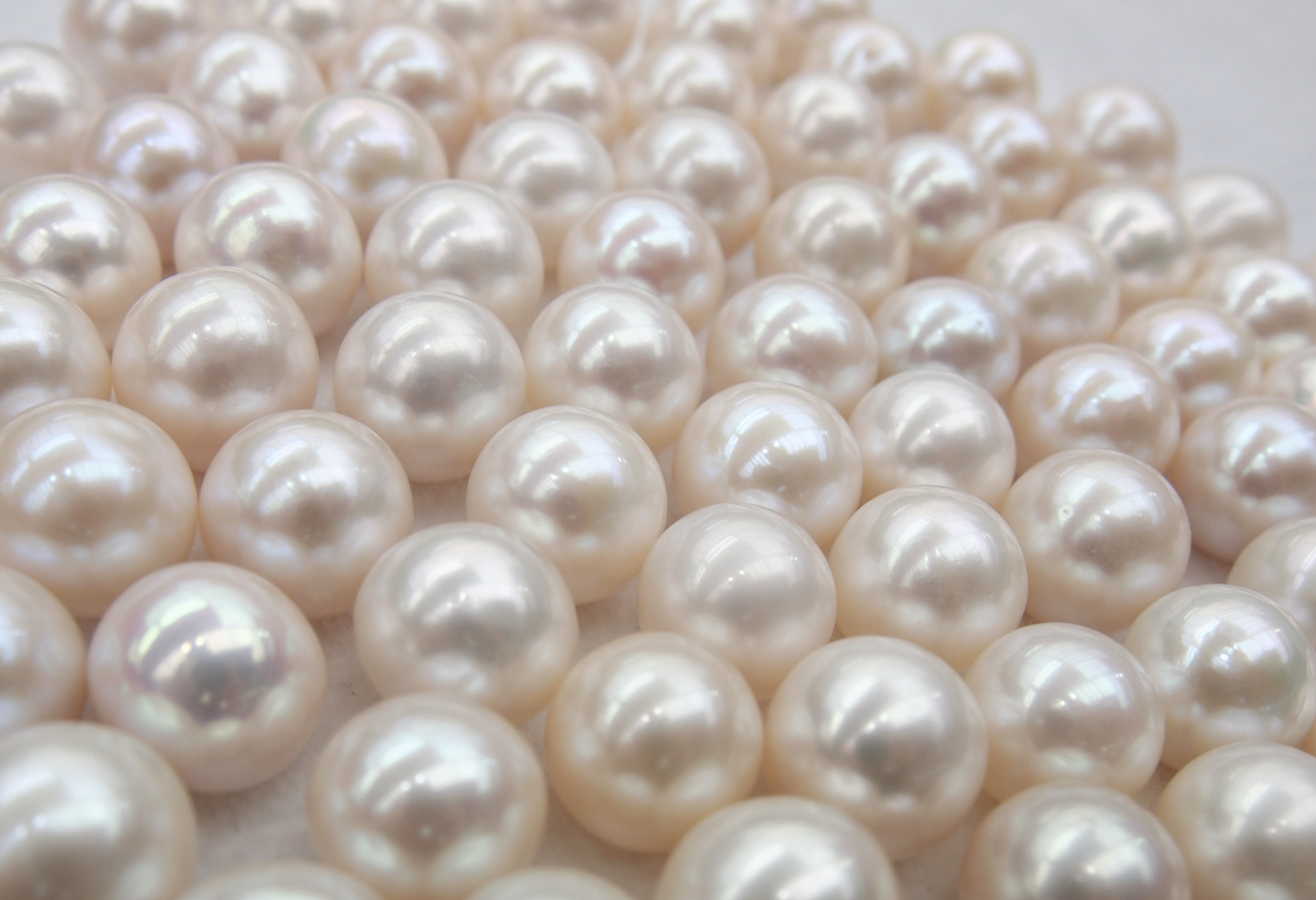 12-13mm Half Drilled of Freshwater Pearls