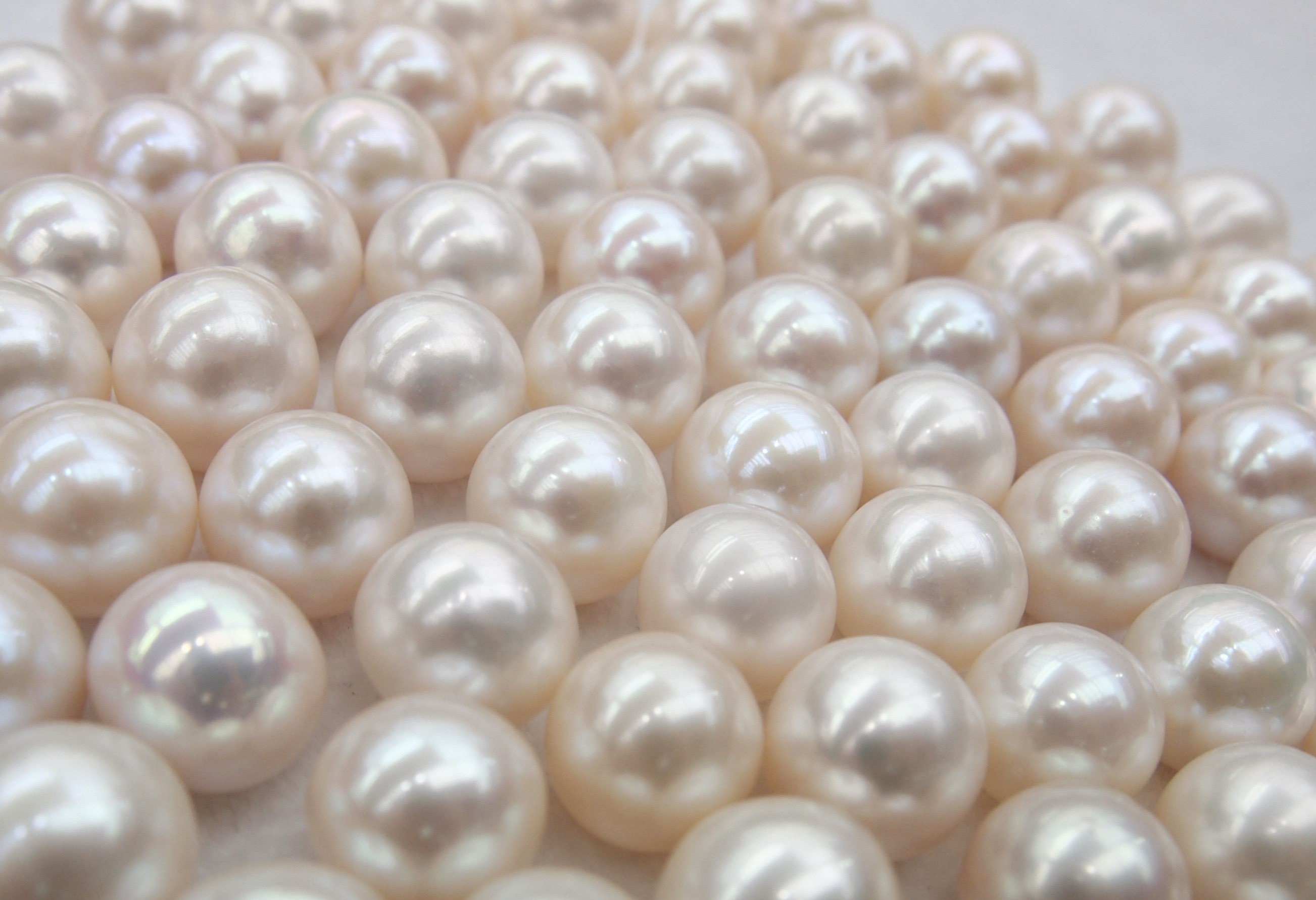 12-13mm Half Drilled of Freshwater Pearls